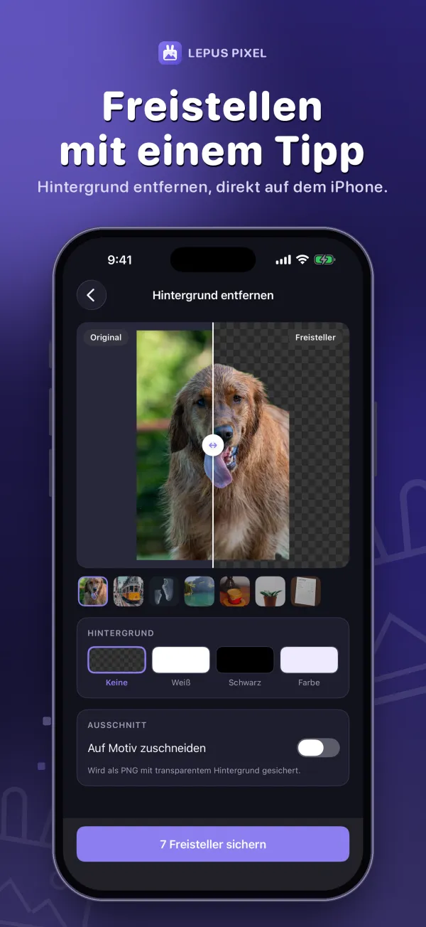 Lepus Pixel, Screenshot 3