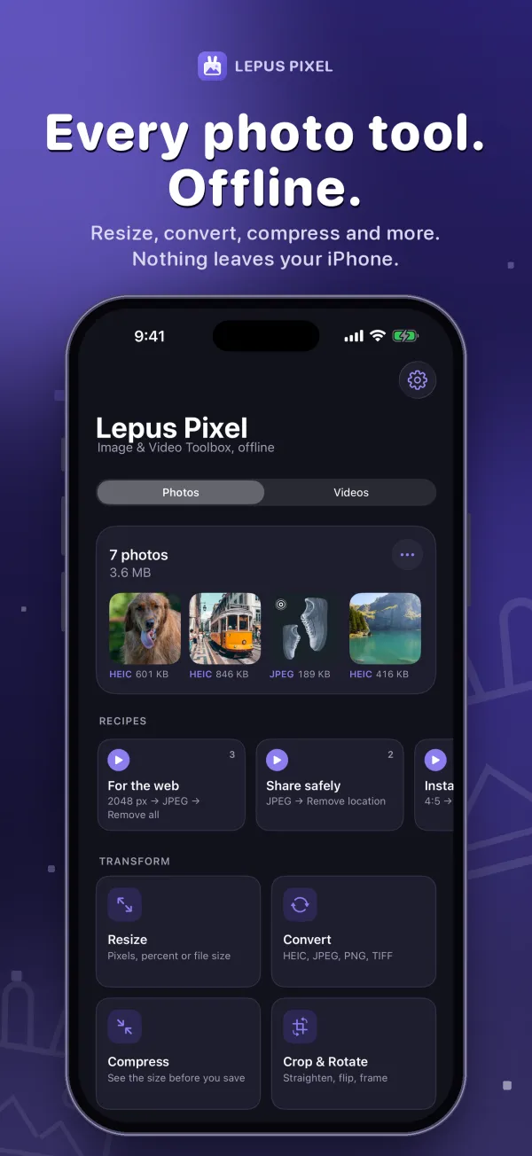 Lepus Pixel, screenshot 1