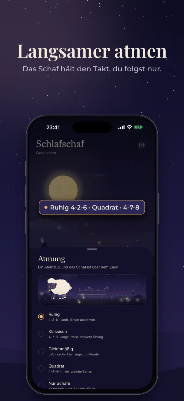 Schlafschaf, Screenshot 2