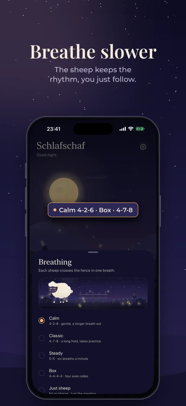 Schlafschaf, screenshot 2